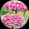 blanchiecloset